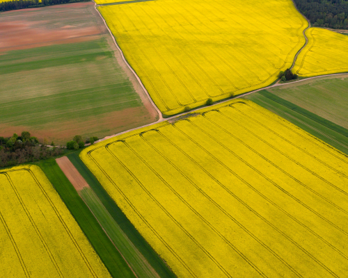 Webinar “ISCC. Sustainability and carbon certification: The impact of greenhouse gas emissions”